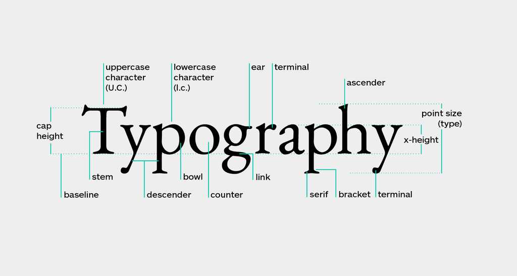 typography-terminology